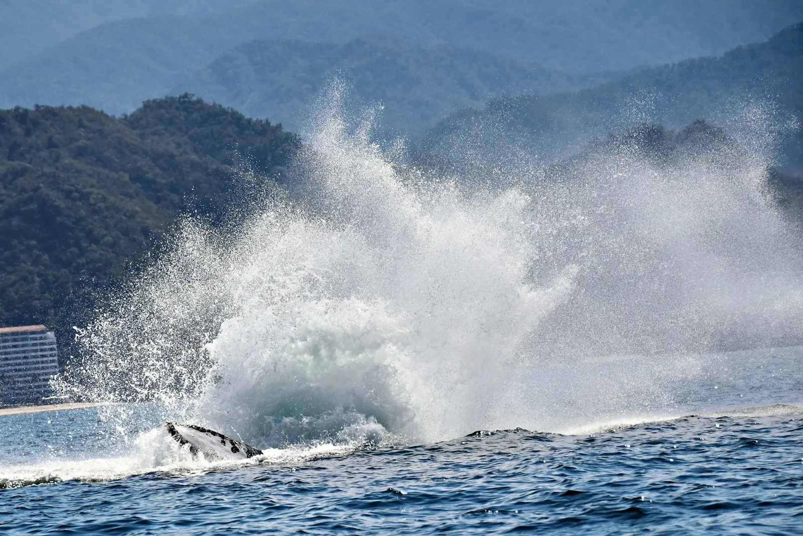 Jet ski carving a sharp turn and throwing a wall of spray